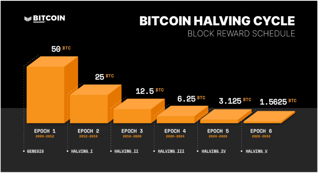 Interpreting Bitcoin Halving Charts