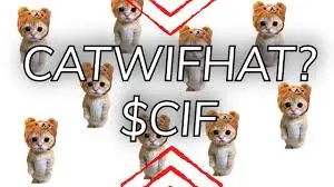 Catwifat